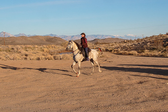 20 Mule Team Ride