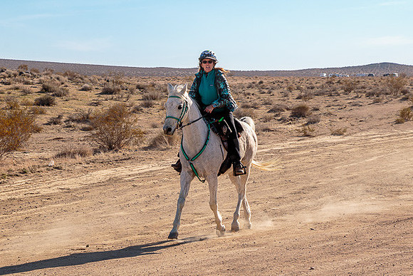 20 Mule Team Ride