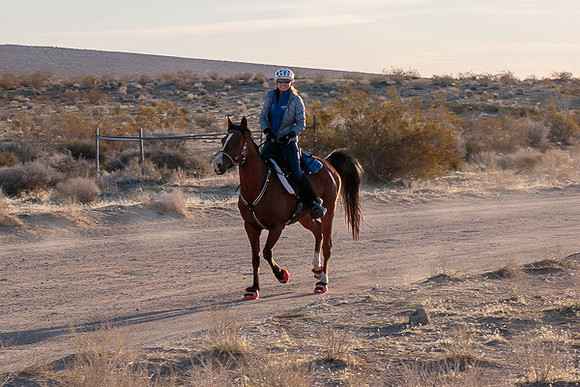 20 Mule Team Ride