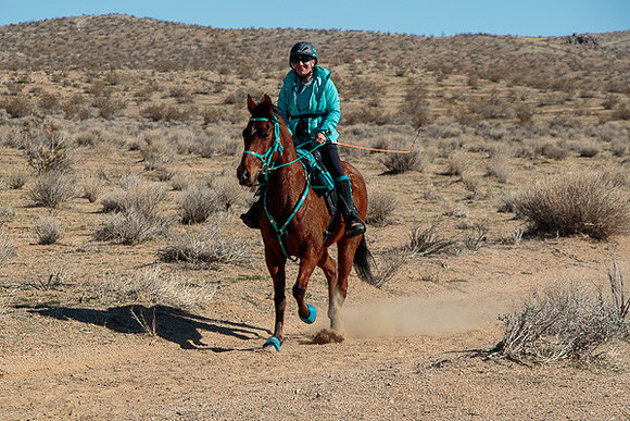 20 Mule Team Ride