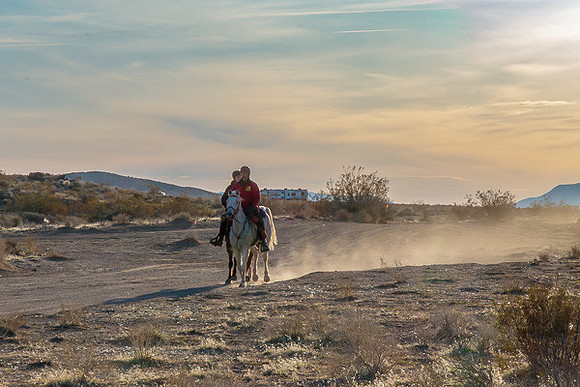 20 Mule Team Ride
