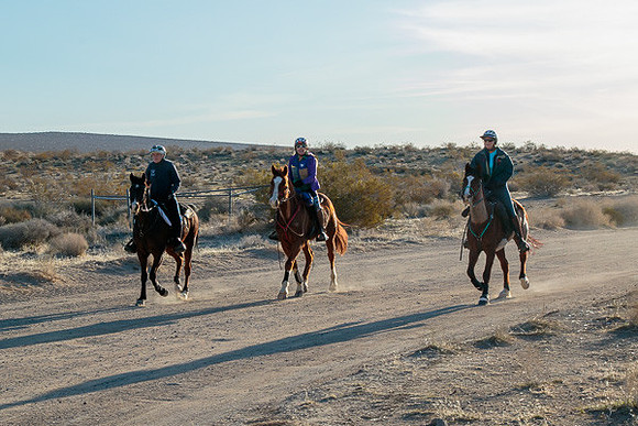 20 Mule Team Ride