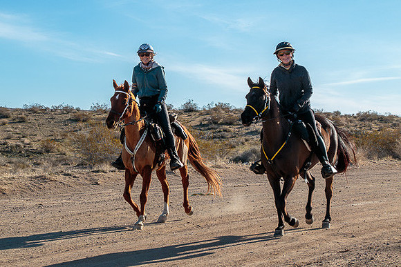 20 Mule Team Ride