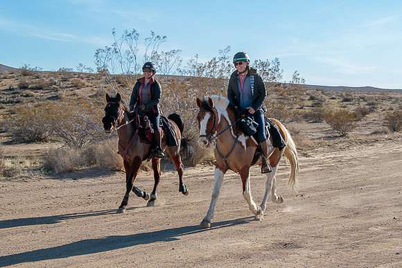 20 Mule Team Ride