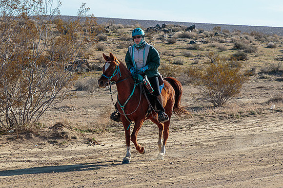 20 Mule Team Ride