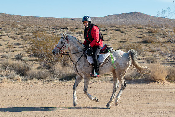 20 Mule Team Ride