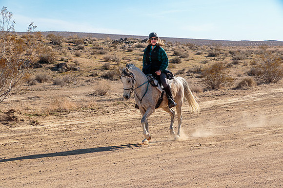 20 Mule Team Ride