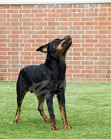 JD - _MG_0112